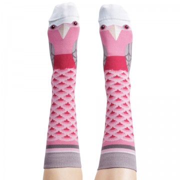 Wilson Payne | Socks | Galah
